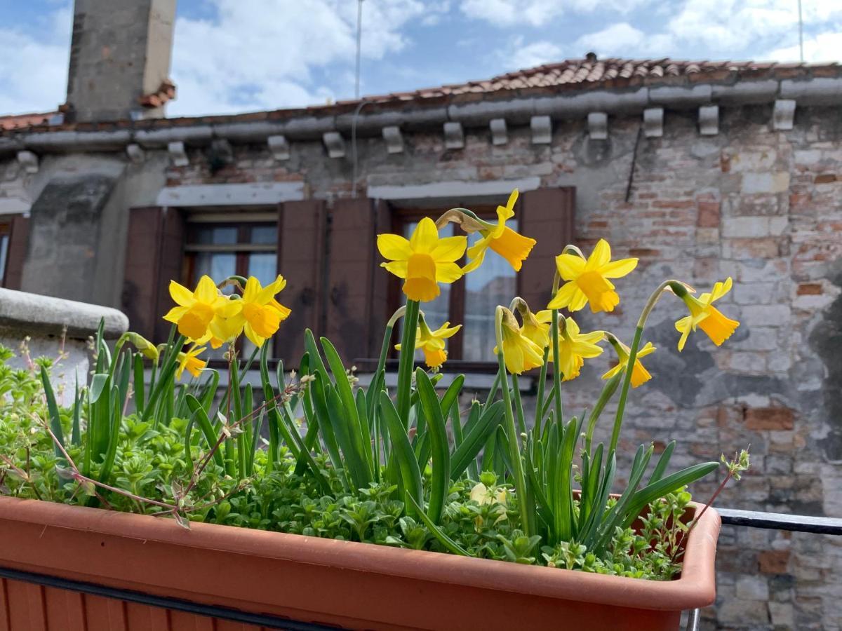 Rooftop Terrace Domus Dei Fabbri Венеция Екстериор снимка